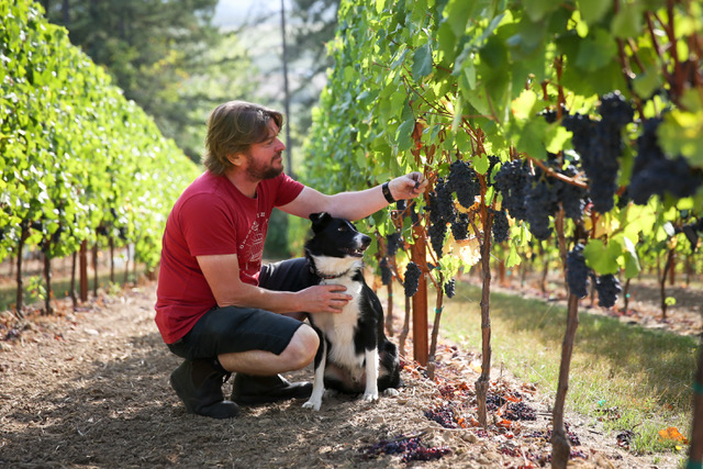 Image for Oregon Wine LAB