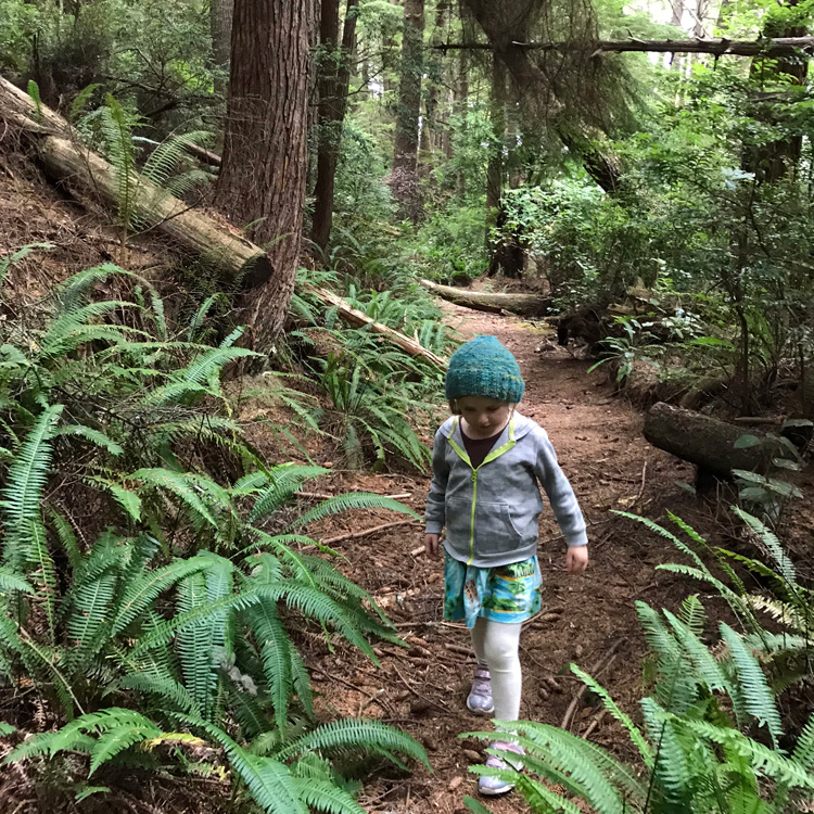 child walking along trail in forest with ferns along path