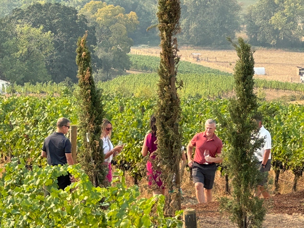 five people walking in a vineyard carrying a wine glass each