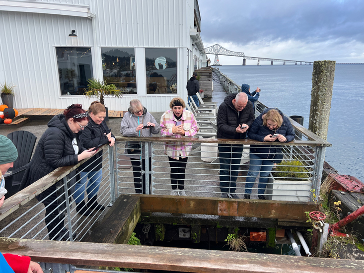 group of people look over fence to sealions below