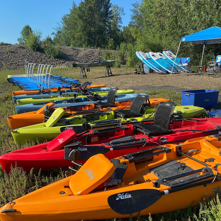 kayaks and stand up paddle boards lined up in a row