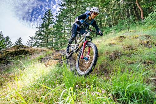 Cog Wild Bicycle Tours & Shuttles