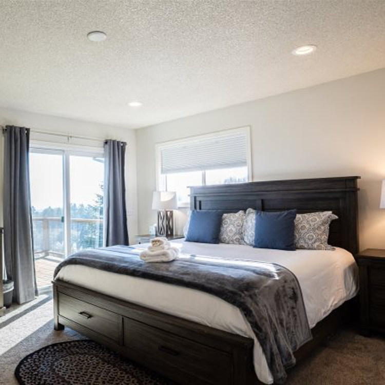 bedroom with modern furniture and walk out to patio