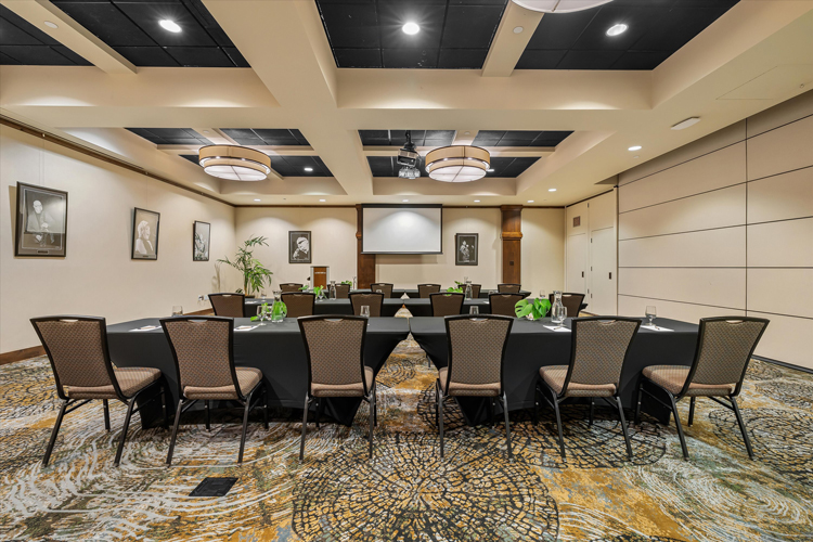 hotel meeting room with graphic carpeting