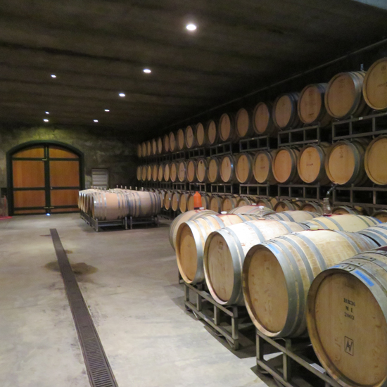 barrel cellar of a winery