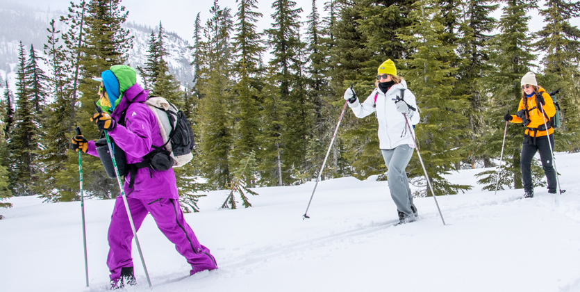 three woman cross country ski with evergreen trees in background