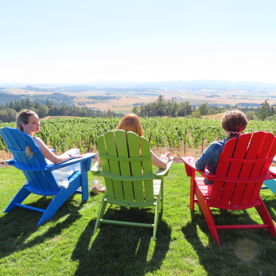 three people sit in Adirondack chairs next to a vineyard