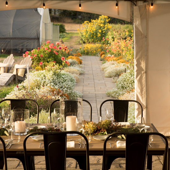 set table in tent next to garden