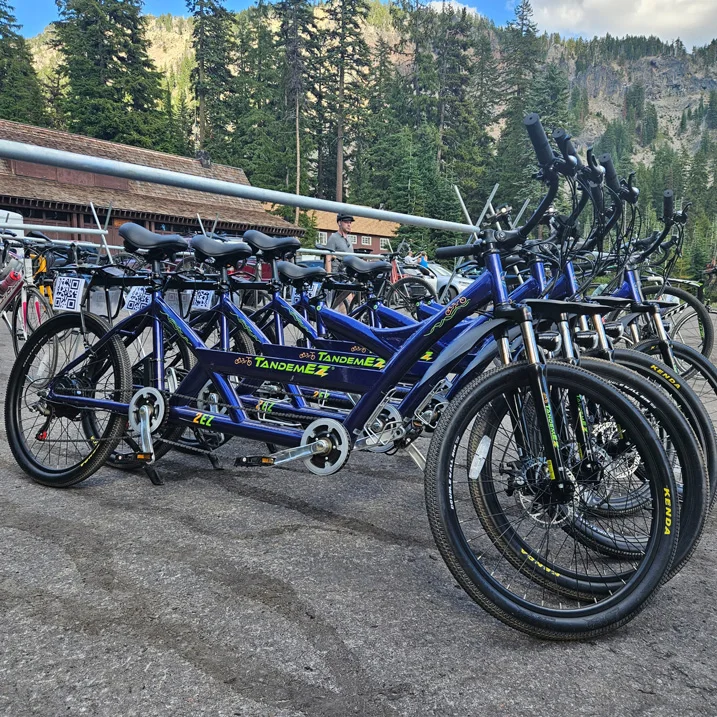 Row of TandemEZ branded e-bikes.