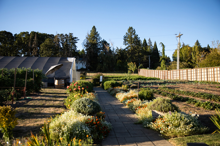 garden