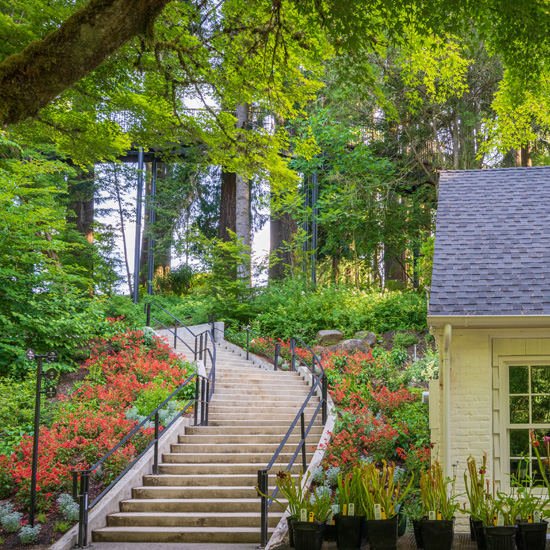 cottage style building with stone stairs leading into botanical garden