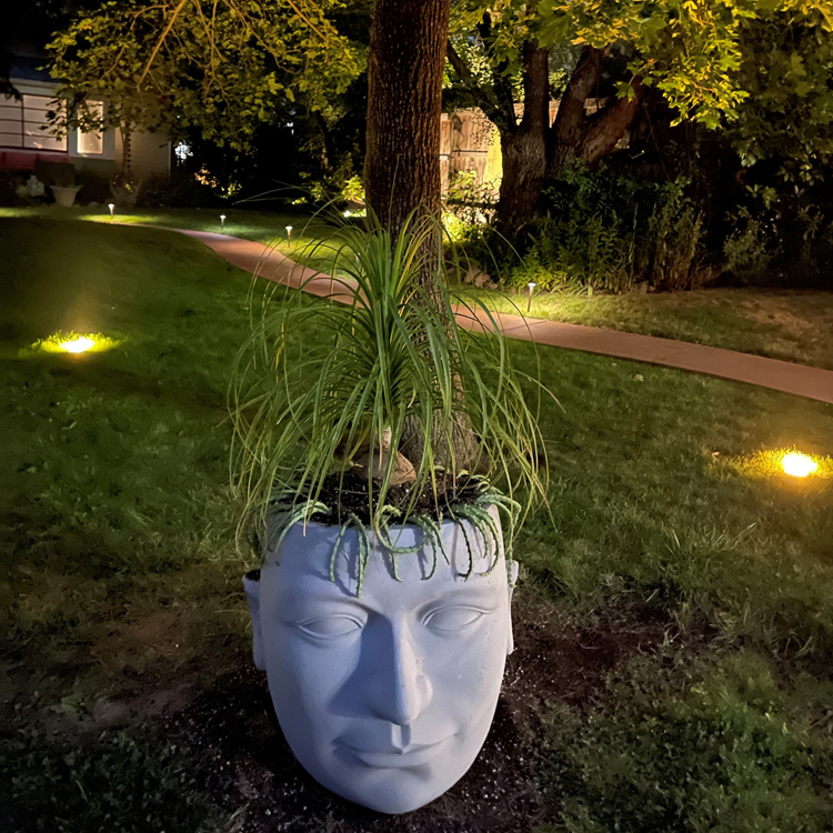 large planter pot in shape of face with small tree planted in it