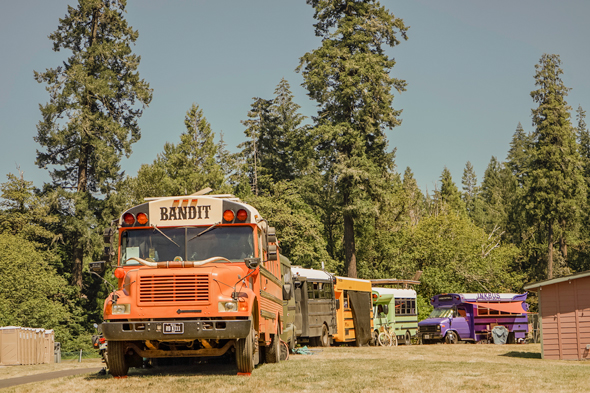 Several colorful converted buses parked in a grassy area surrounded by tall pine trees.