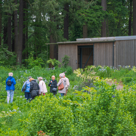 group of seven women in botanical garden