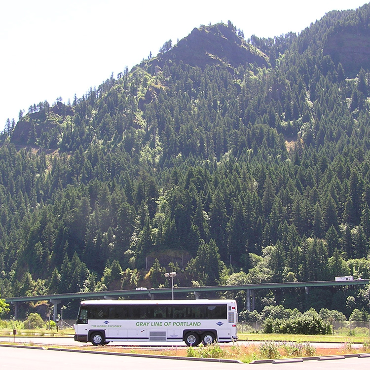large passenger bus with evergreen forest in the back