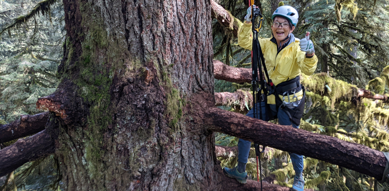 tall tree climber gives thumbs up sign and smiles at camera