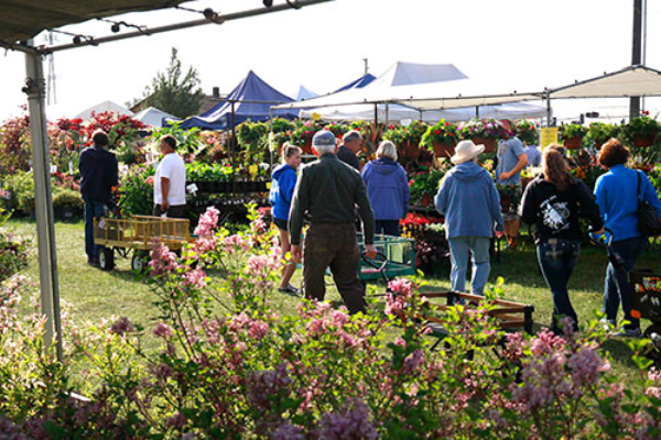 Outdoor plant market with multiple people browsing and shopping among stalls displaying various flowers and greenery