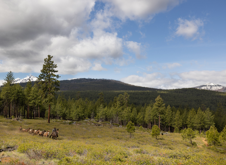person on horseback leads horses through a scenic landscape
