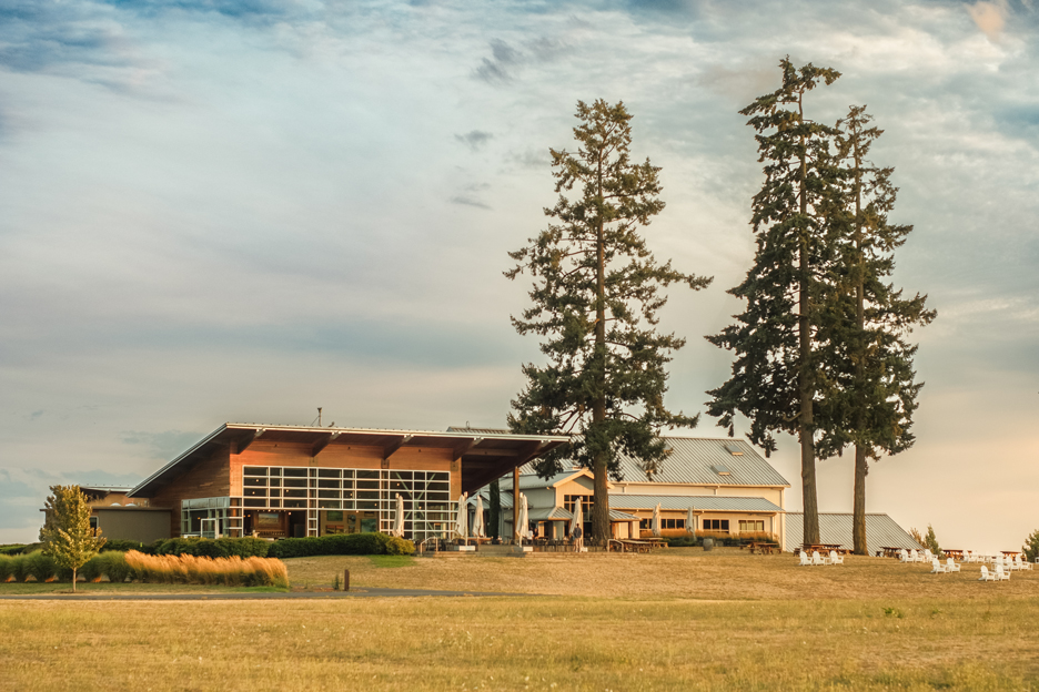 modern winery tasting room at golden hour