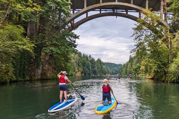 Two people paddle on a river on Stand Up Paddleboards.