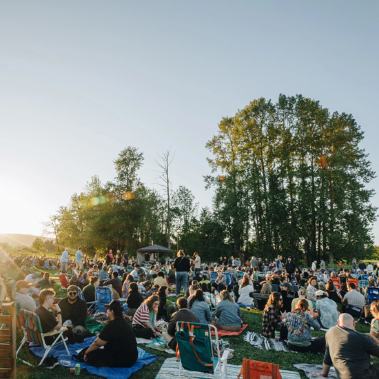 crowd of people sitting in grass on blankets and low lawn chairs