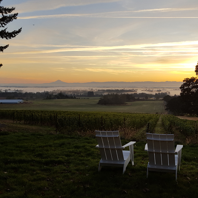 two lawn chairs in a vineyard with views of sunset