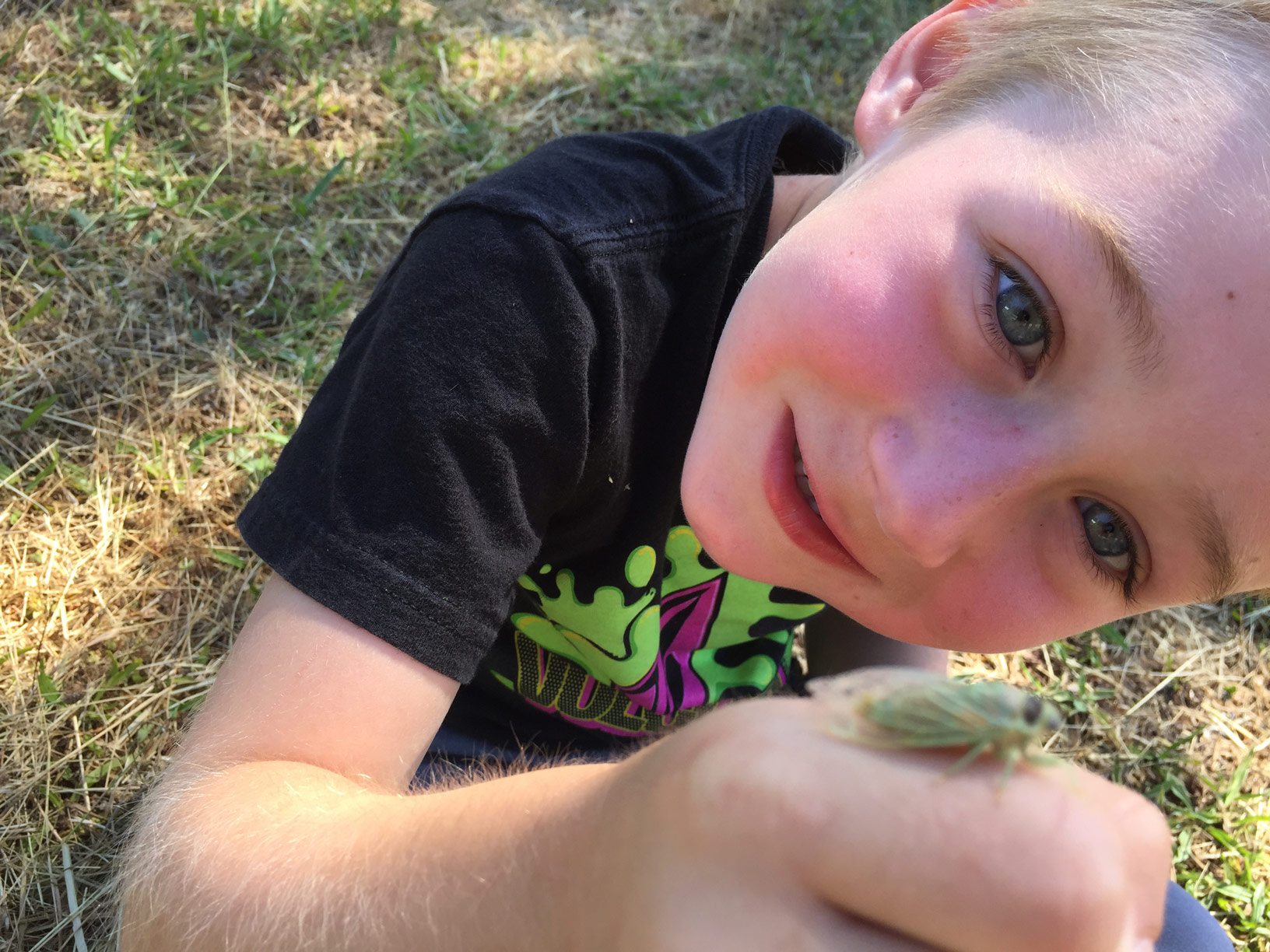 Boy holding a small green insect.
