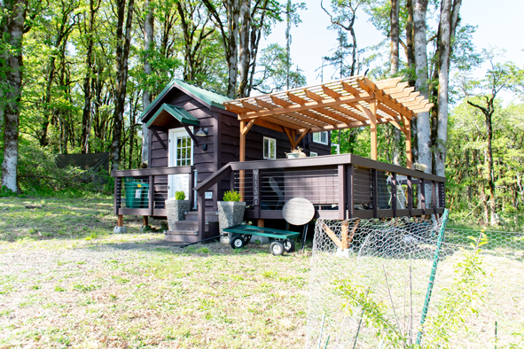 tiny house with porch and patio
