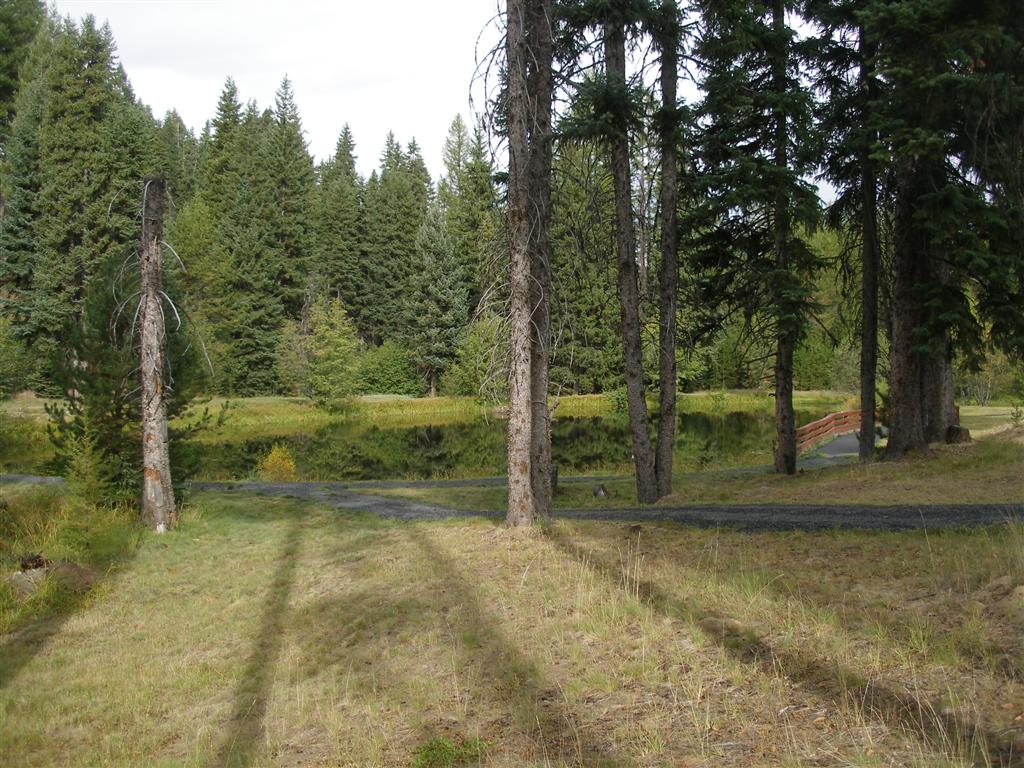walking path in wooded area of park