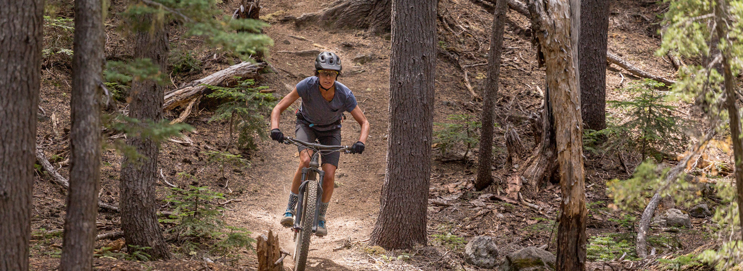 Person riding a mountain bike on a forest trail.