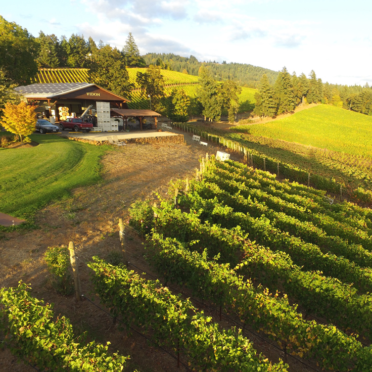 aerial image of vineyard fields and tasting room in background