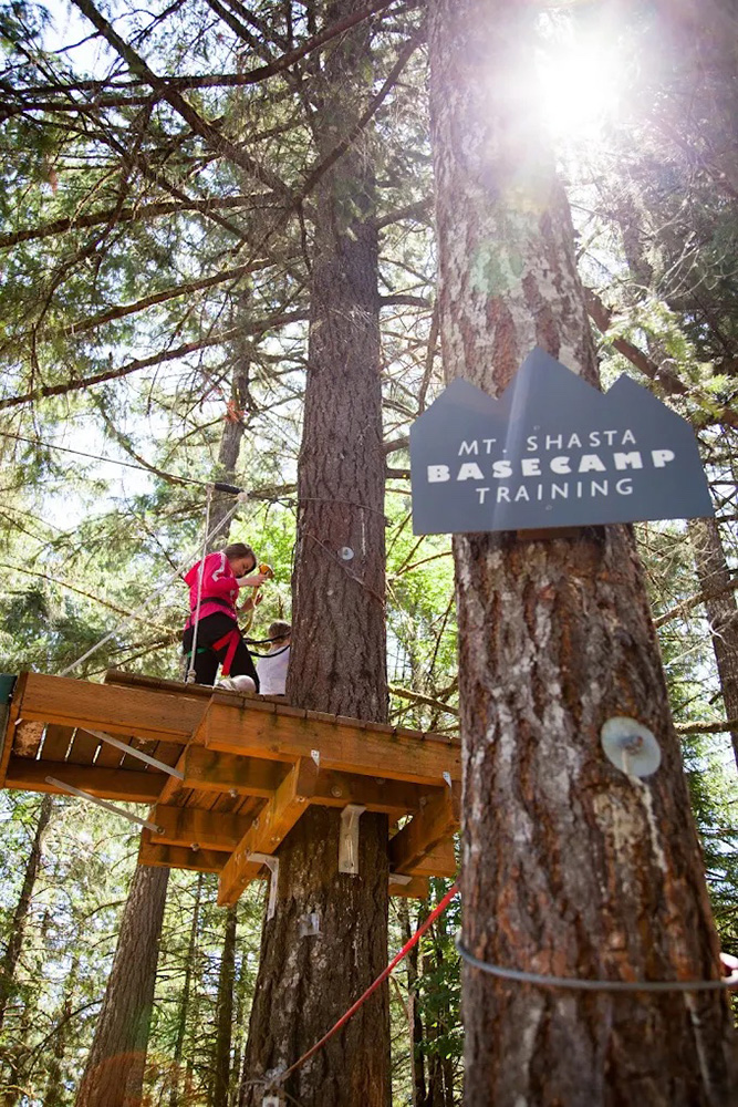 person on platform in a tree at an outdoor adventure park