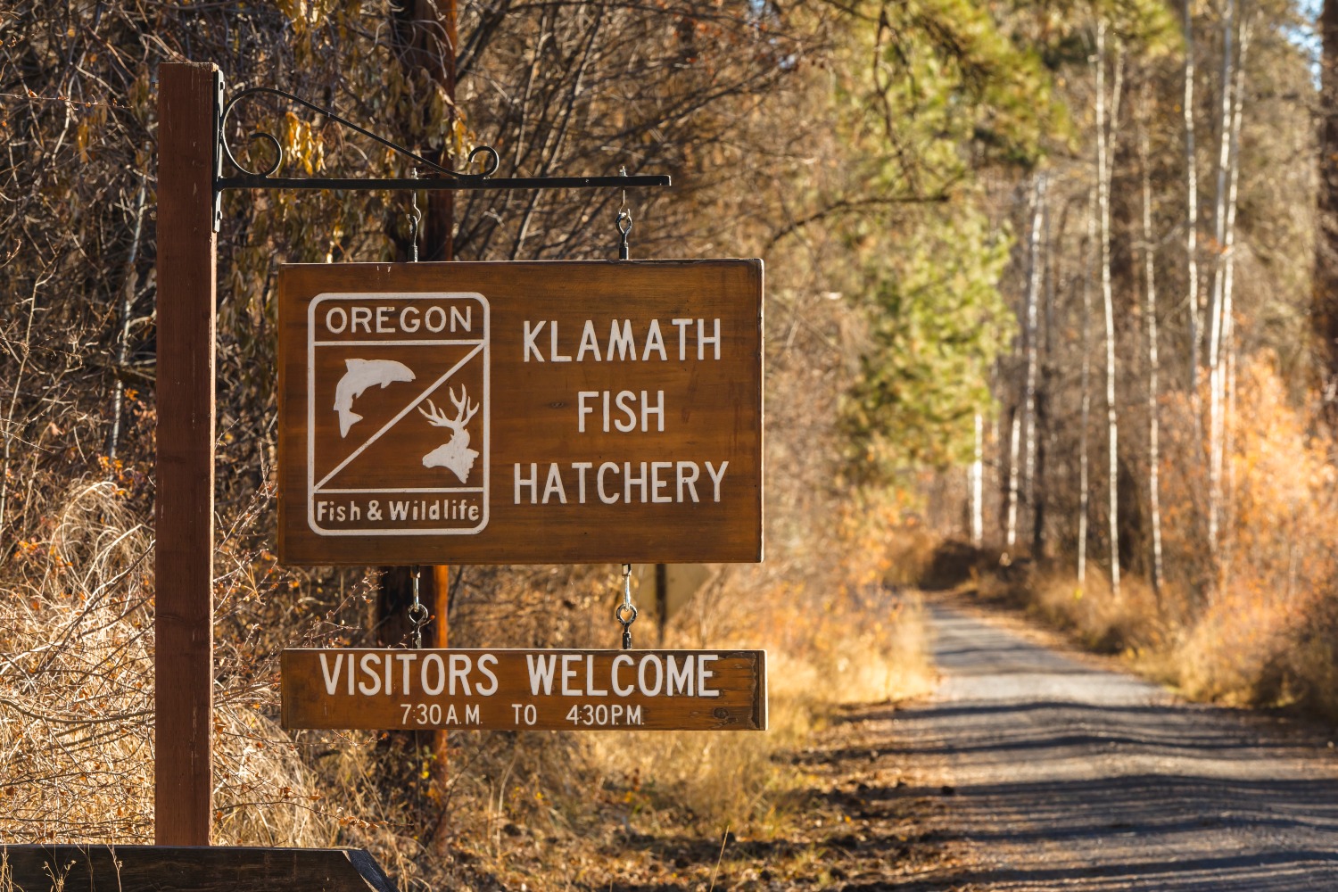 Klamath Fish Hatchery