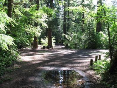 Image for JIM CREEK GROUP CAMPGROUND