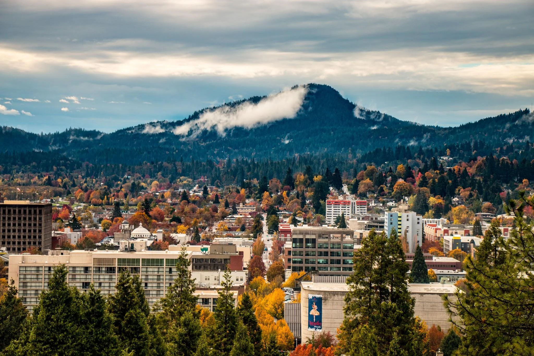 Image for Eugene, Cascades & Coast Visitor Center - Travel Lane County