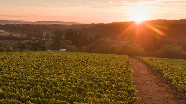 Raptor Ridge Winery
