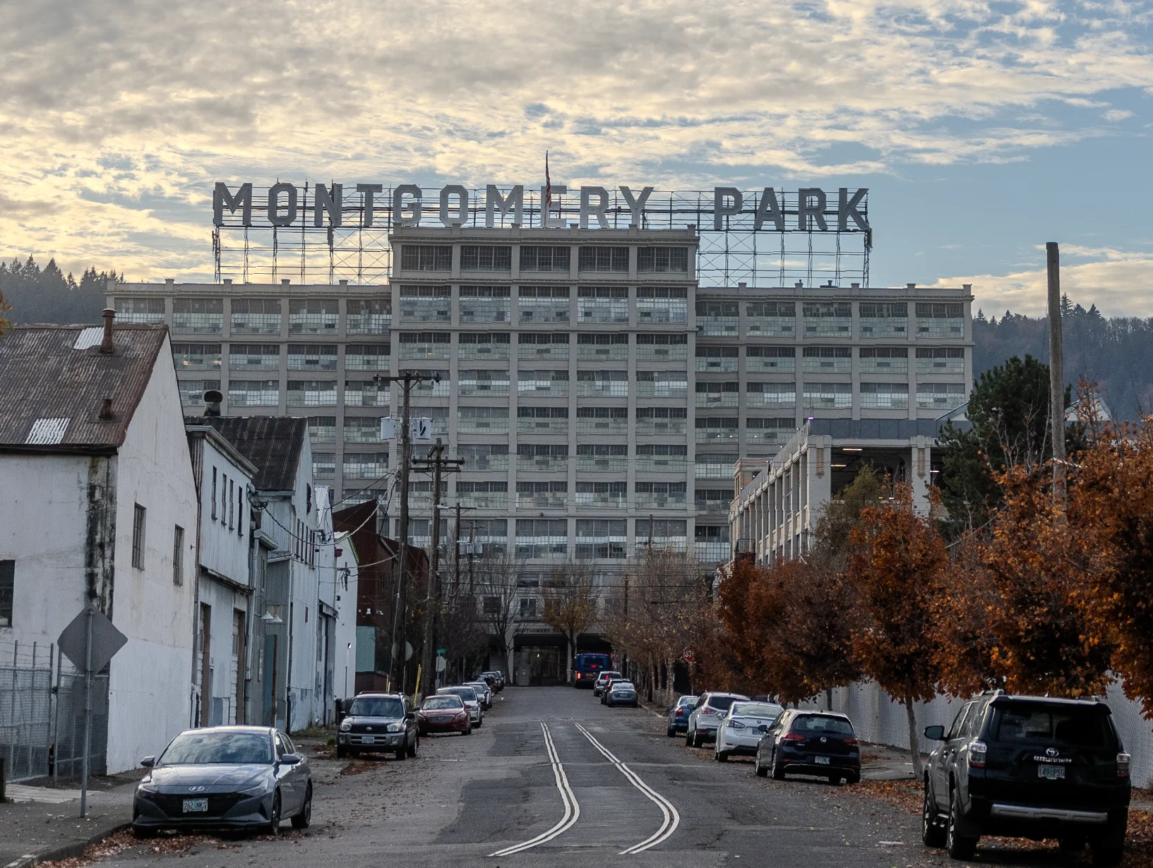 Image for Roseline Coffee - Montgomery Park