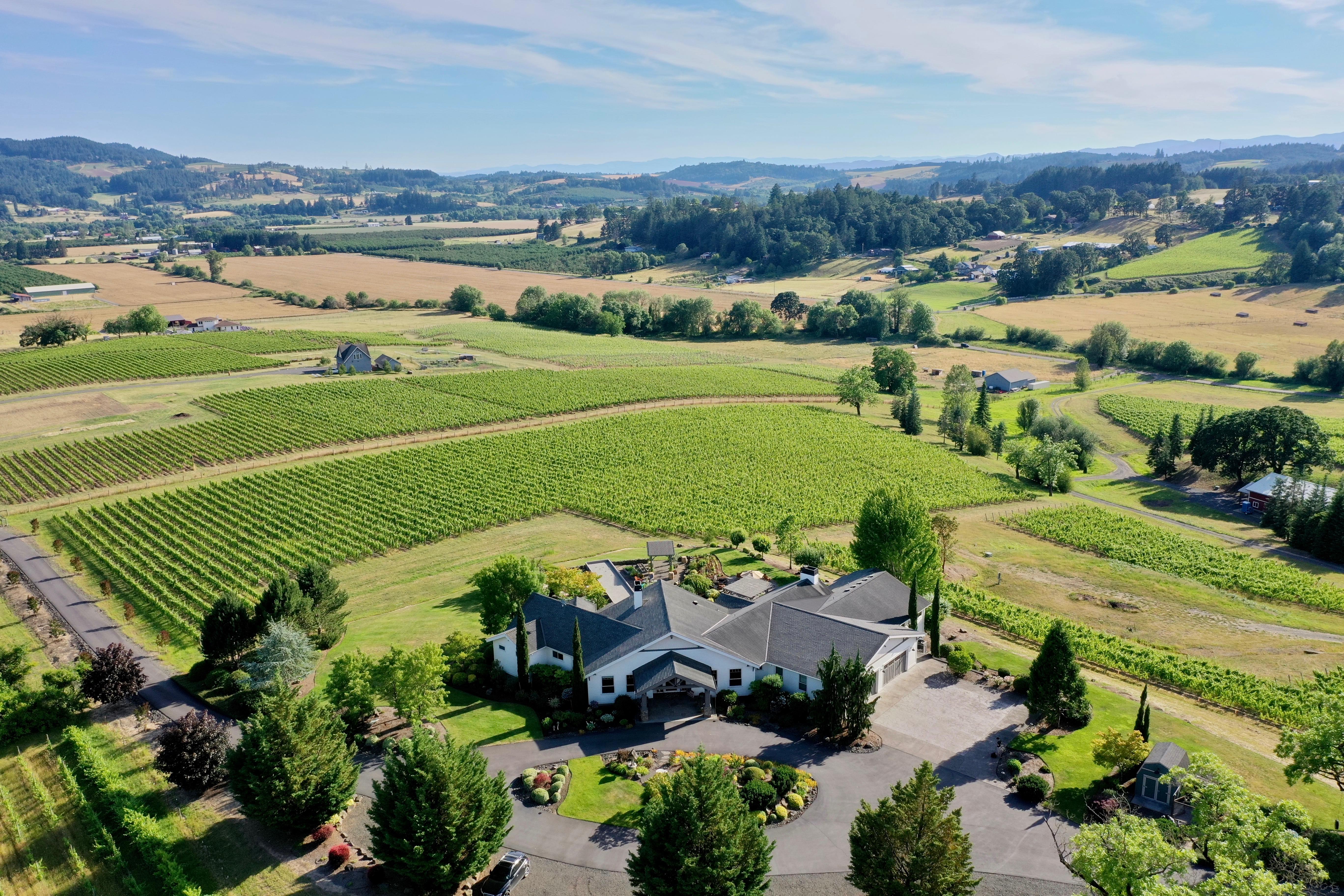 Image for Anacréon Winery