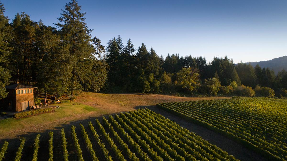 Image for Beacon Hill Winery