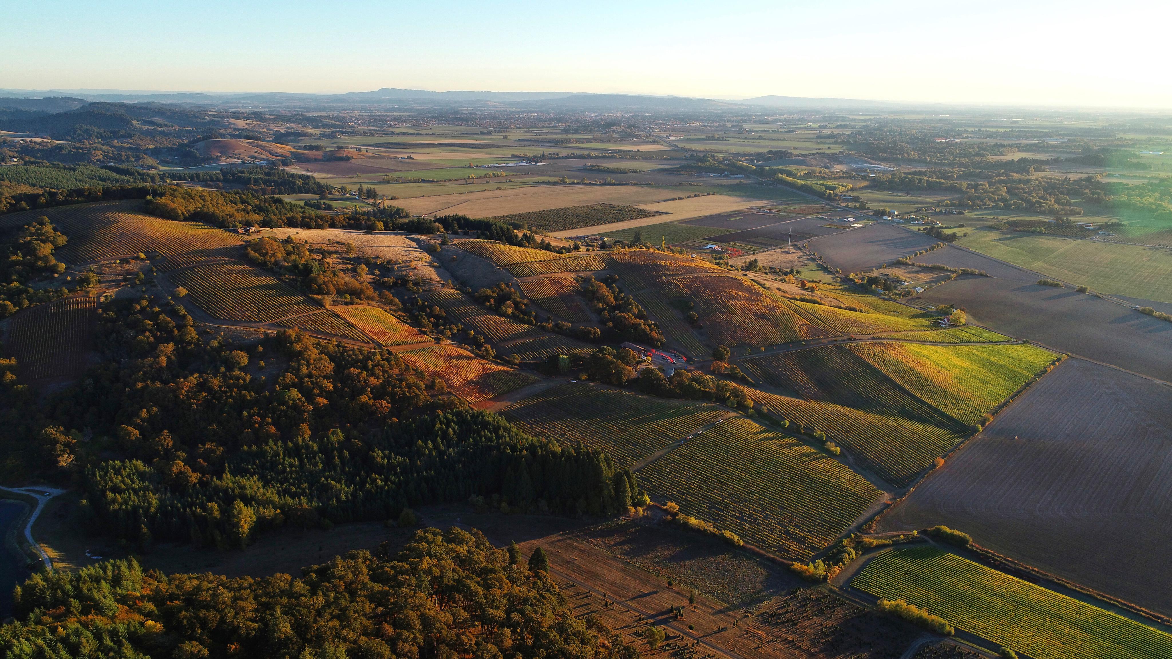 Image for Yamhill Valley Vineyards