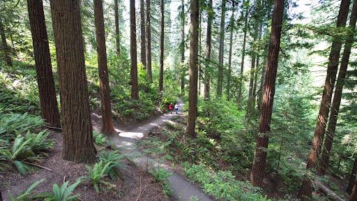Image for Hoyt Arboretum