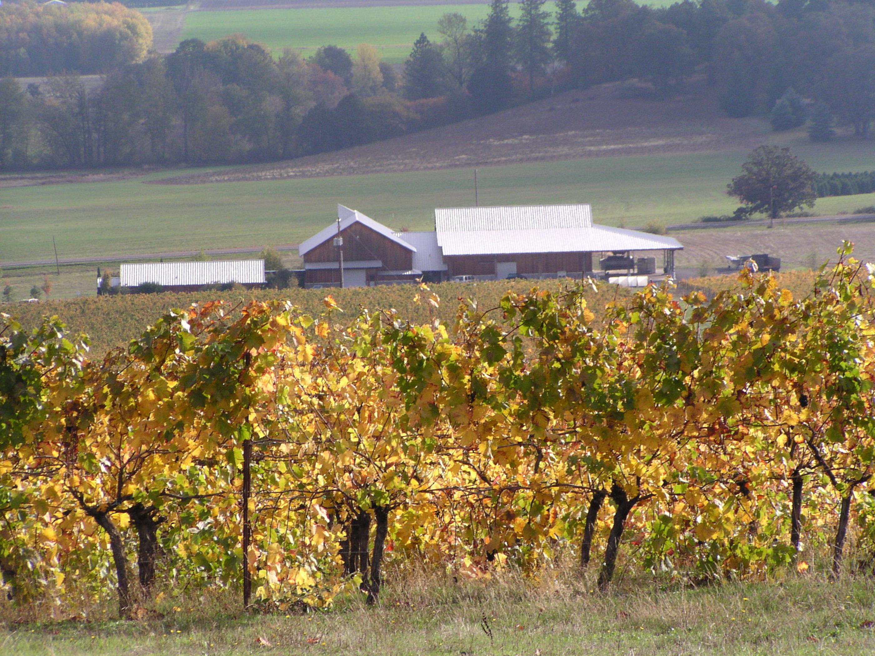 Image for Benton-Lane Winery