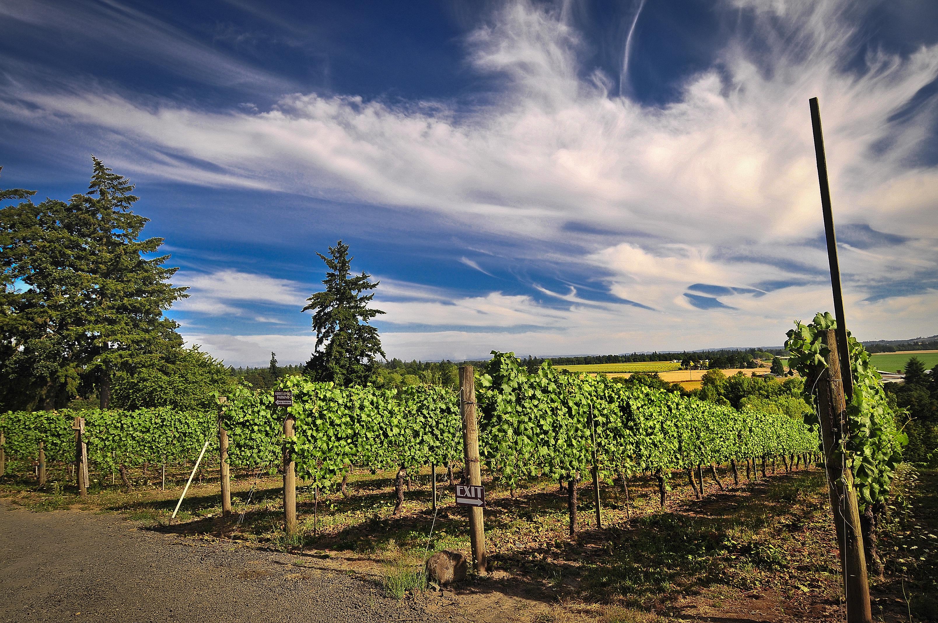 Image for Stangeland Vineyards & Winery
