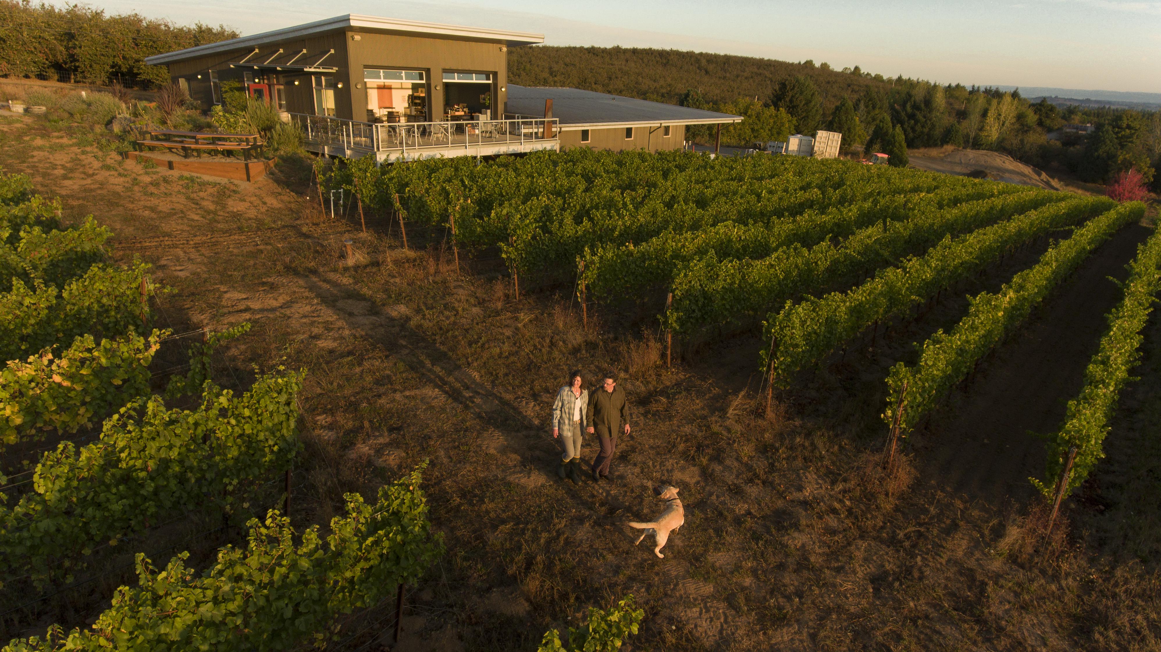Image for Raptor Ridge Winery