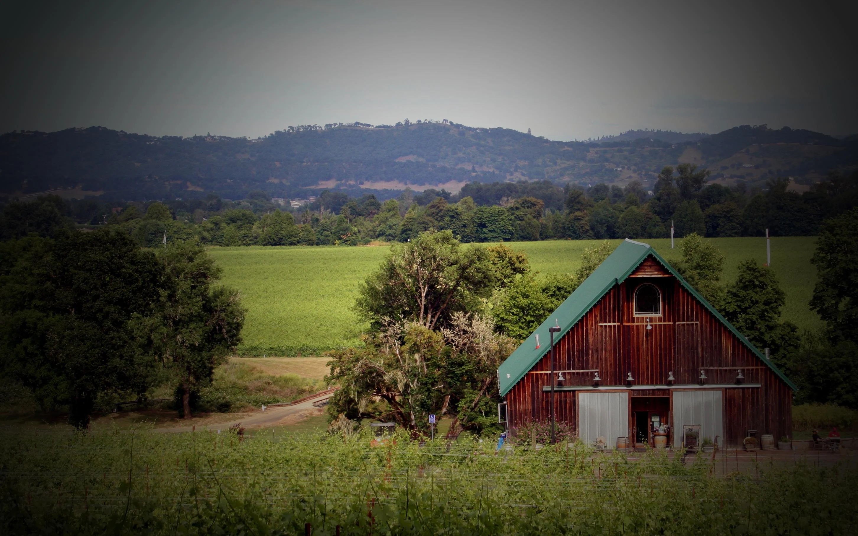 Image for Melrose Vineyards