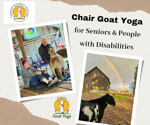 Image for Chair Goat Yoga for Seniors & People with Disabilities