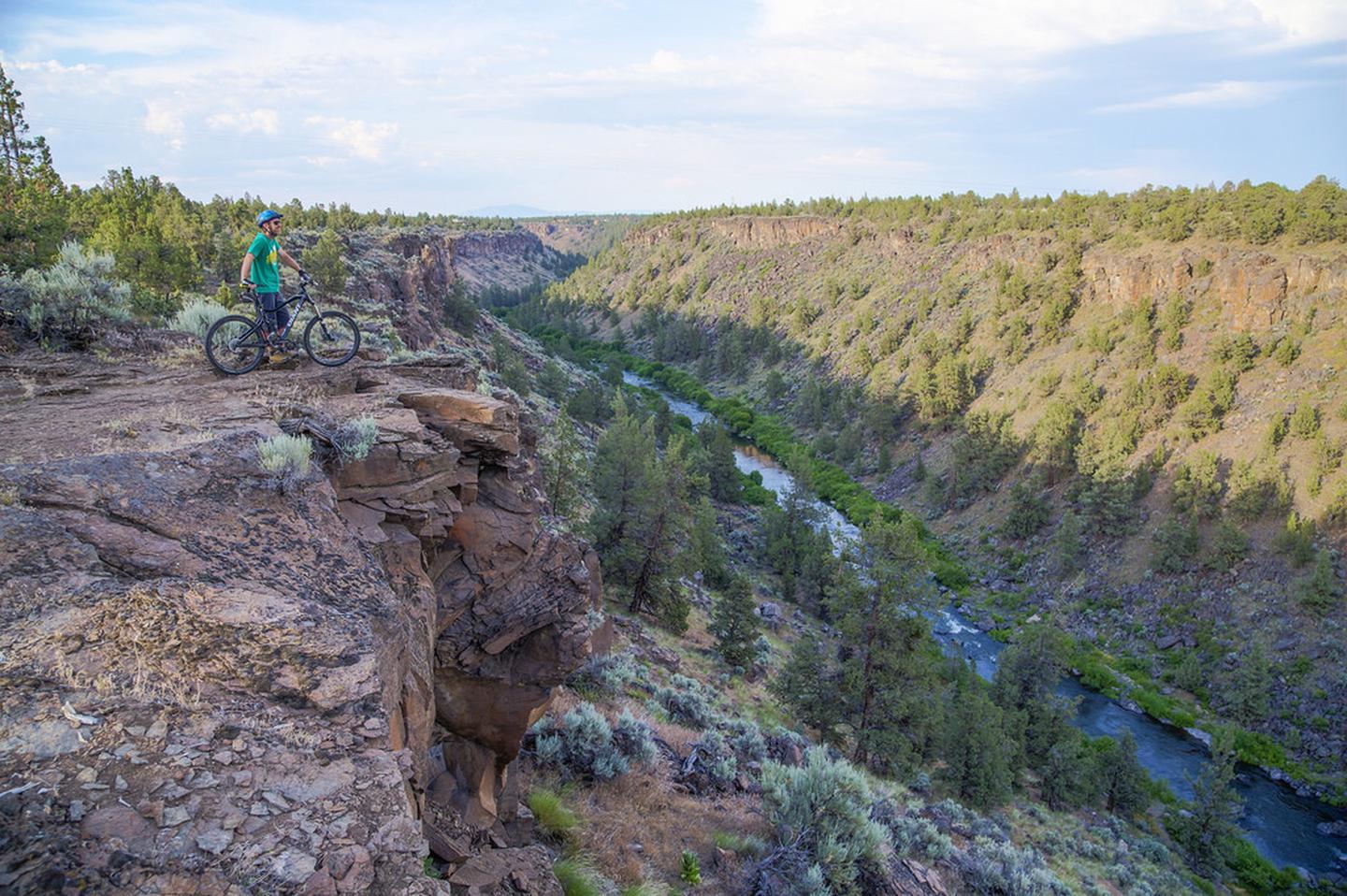 Image for Maston Trail System