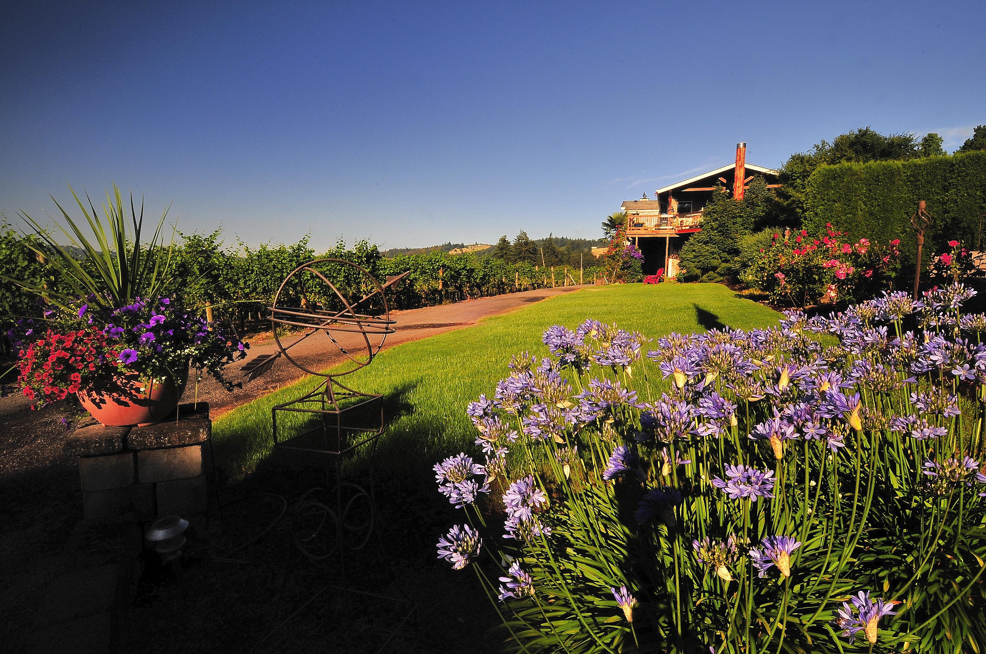 Image for Stangeland Vineyards & Winery
