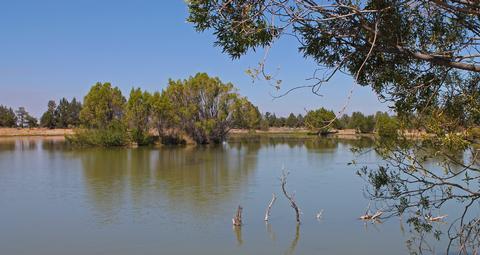 Image for Reynolds Pond Recreation Site