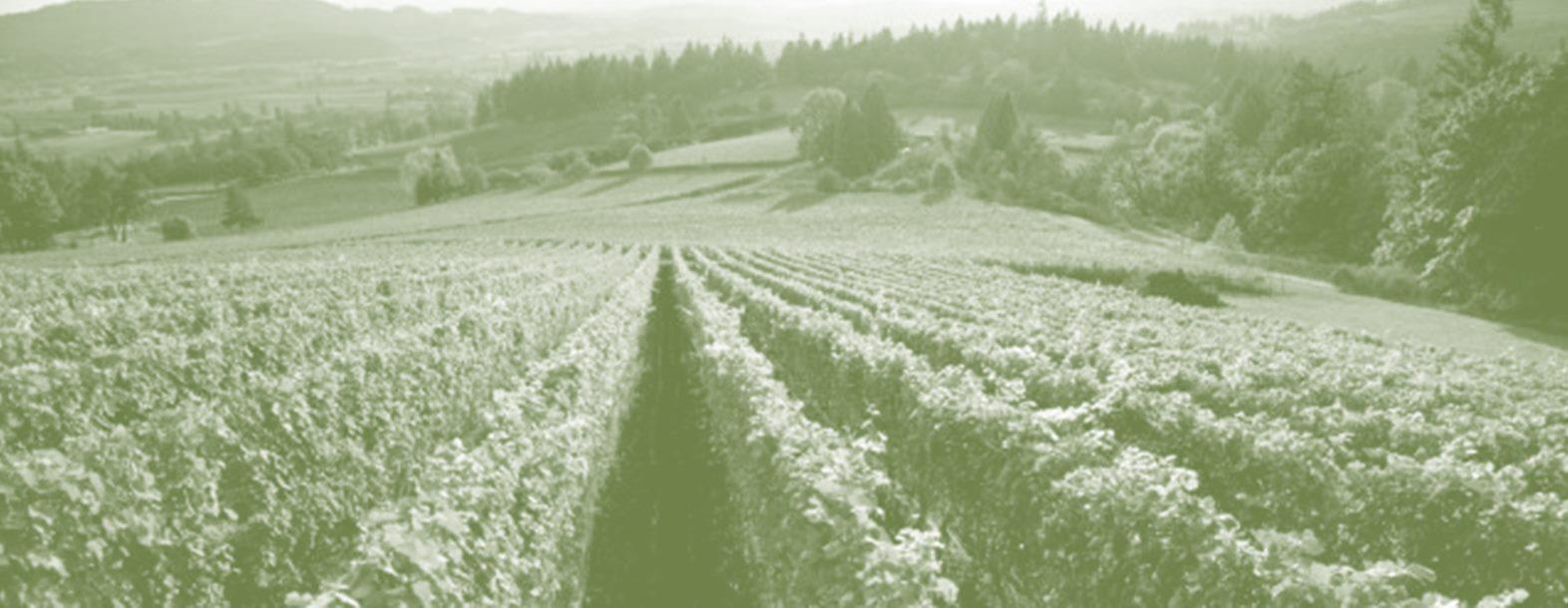 Image for Chehalem Valley Chamber of Commerce